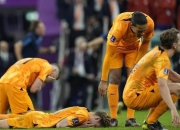 im电竞下载-荷兰队在欧洲杯八分之一决赛中遭淘汰