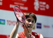 im电竞APP-马来西亚队绝杀印尼队，陈雨菲惊艳四座的简单介绍