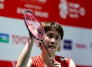 im电竞APP-马来西亚队绝杀印尼队，陈雨菲惊艳四座的简单介绍