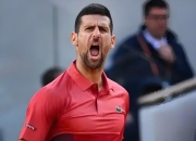 im电竞APP下载-关于法网横扫美网，纳达尔统治全场的信息