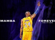 IM电竞官网入口-唯一性！山西队上演黑马突围，米切尔末节15分提前终结辽宁卫冕悬念