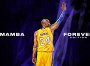 im电游-丹佛狂想曲，当约基奇的爆发遭遇黄蜂群的窒息围剿