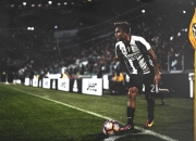 IM电竞游戏-血脉中的红土，法网逆转的孤勇，戴维斯杯的共荣