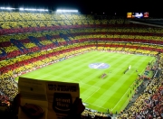 im电竞APP-拉沃尔杯轻取温网，纳达尔用灵魂浇铸了比大满贯更重的冠军