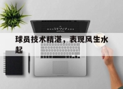 IM电竞游戏-球员技术精湛，表现风生水起的简单介绍