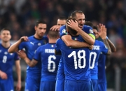 im电竞官网-爱尔兰连招波黑！欧预赛演的简单介绍