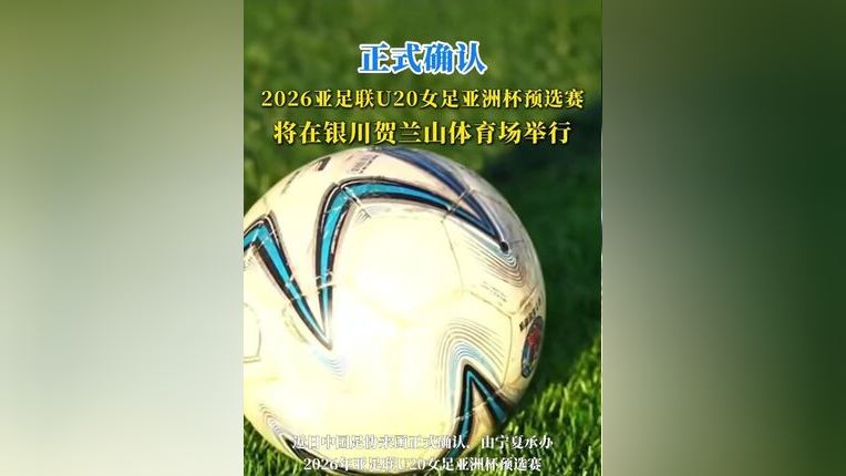 亚洲杯赛：首尔猛虎击败北京龙，晋级决赛的简单介绍