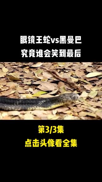 队员凭实力巅峰对决，谁能笑到最后