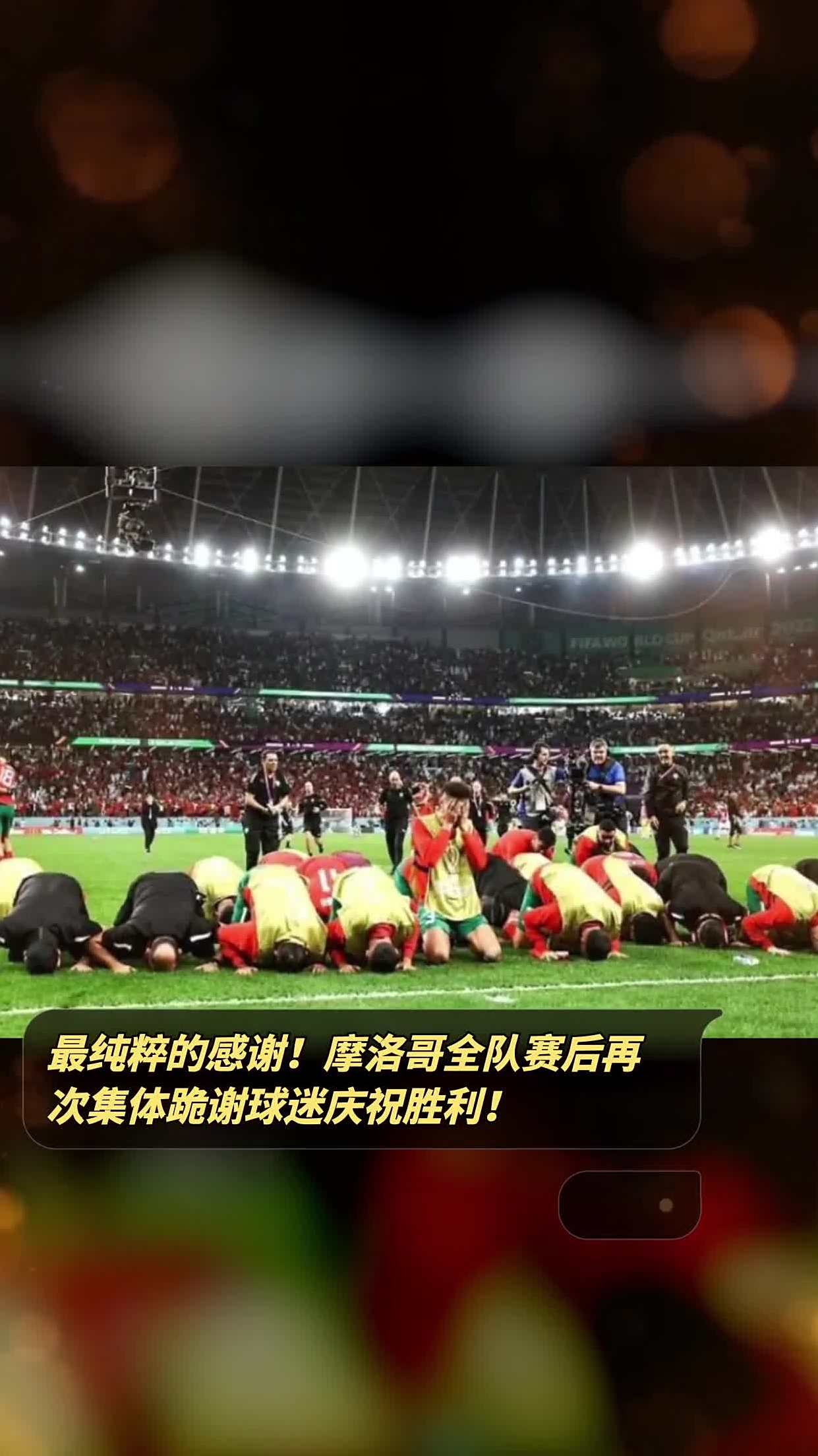 关于瑞士队长领衔感谢球迷，鼓舞士气备战的信息