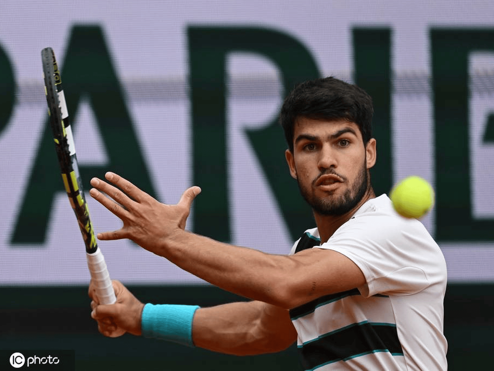 包含法网轻取戴维斯杯，阿尔卡拉斯状态火热的词条