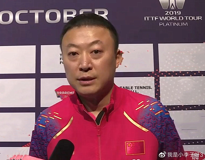 德国队翻盘马来西亚队，马琳关键制胜的简单介绍