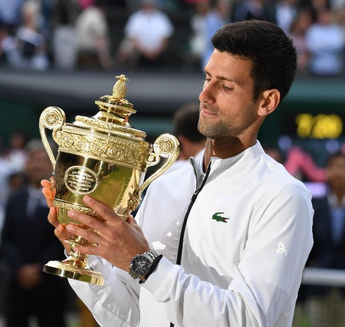 包含年终总决赛绝杀蒙特卡洛大师赛，德约科维奇高光表现的词条