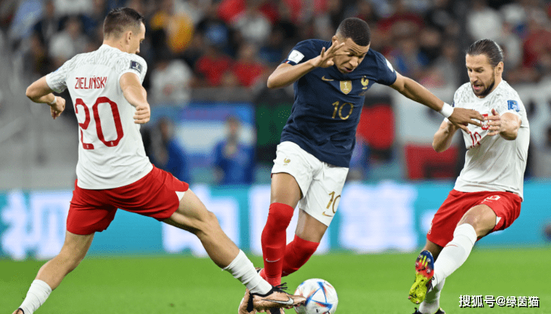 日本队险胜法国队，戴资颖刷新纪录的简单介绍