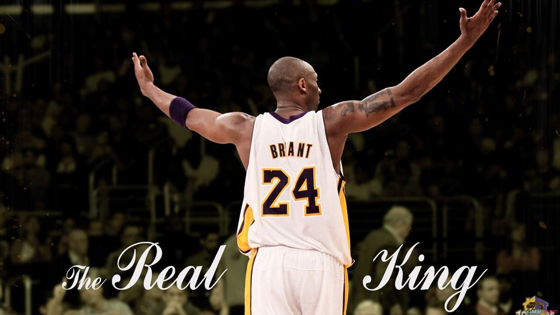 诺坎普的篮筐,当北京首钢在欧冠决赛夜翻盘达拉斯独行侠